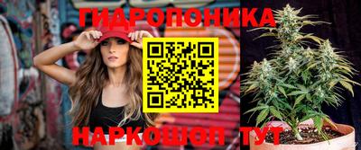 твердый Лесосибирск