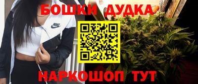 МДПВ Ливны