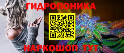 твердый Лесосибирск