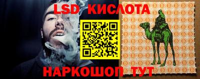 твердый Лесосибирск