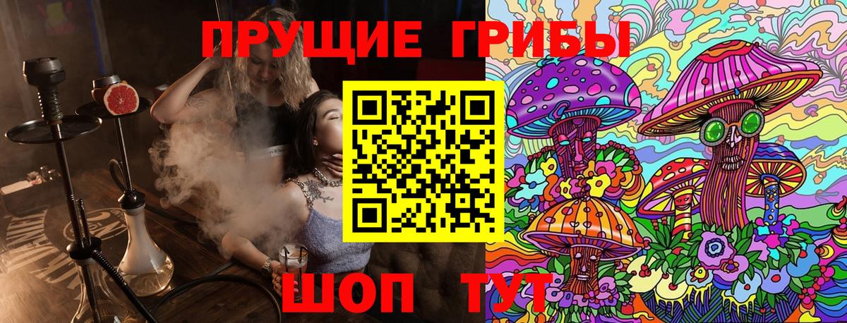 Псилоцибиновые грибы ЛСД  Псилоцибиновые грибы GOLDEN TEACHER  Вход с VPN  Котлас 